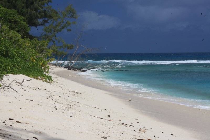 seychelles-cousin-curieuse-st-pierre-25  (©  Seychelles Booking)