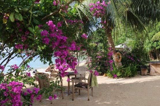 seychelles-crown-beach-garden  (© Vision Voyages TN / Crown Beach Hotel)