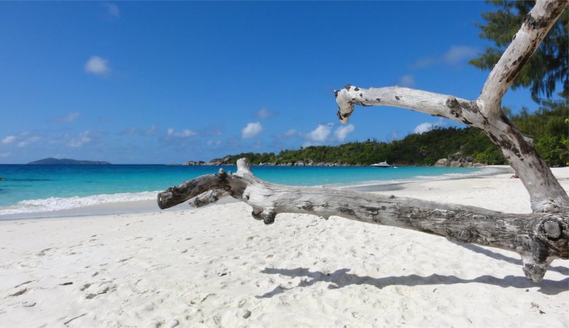 seychelles-la-digue-grand-anse  (©  Seychelles Booking)