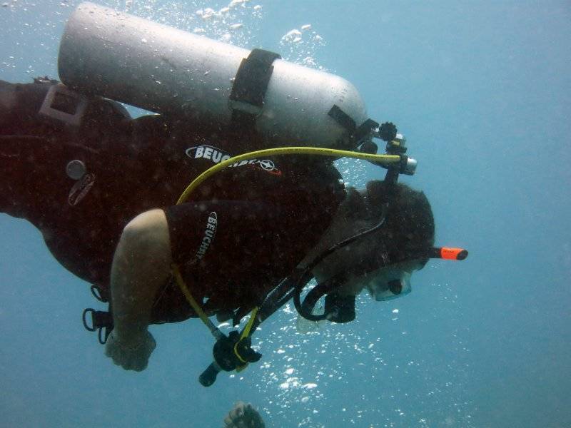 seychelles-mahe-blue-sea-divers-decouverte-12  (©  Seychelles Booking)