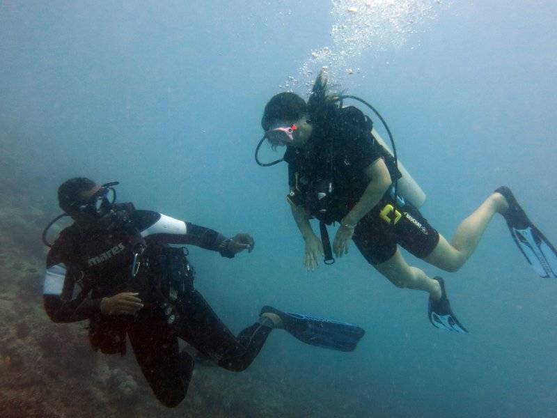 seychelles-mahe-blue-sea-divers-decouverte-14  (©  Seychelles Booking)