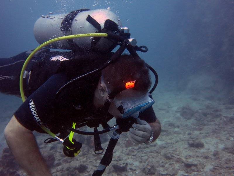 seychelles-mahe-blue-sea-divers-decouverte-16  (©  Seychelles Booking)