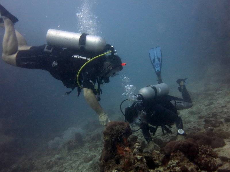 seychelles-mahe-blue-sea-divers-decouverte-17  (©  Seychelles Booking)