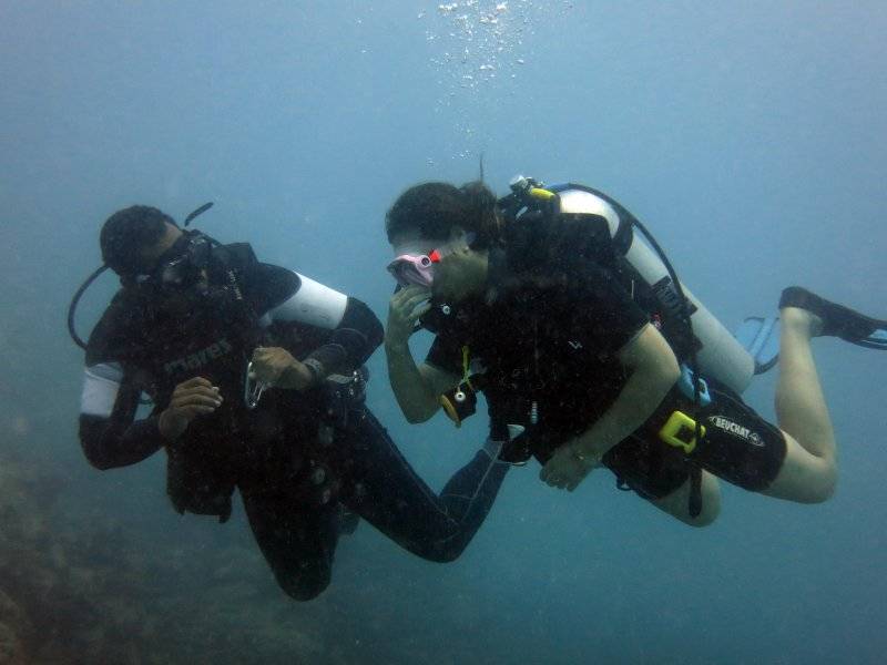 seychelles-mahe-blue-sea-divers-decouverte-29  (©  Seychelles Booking)