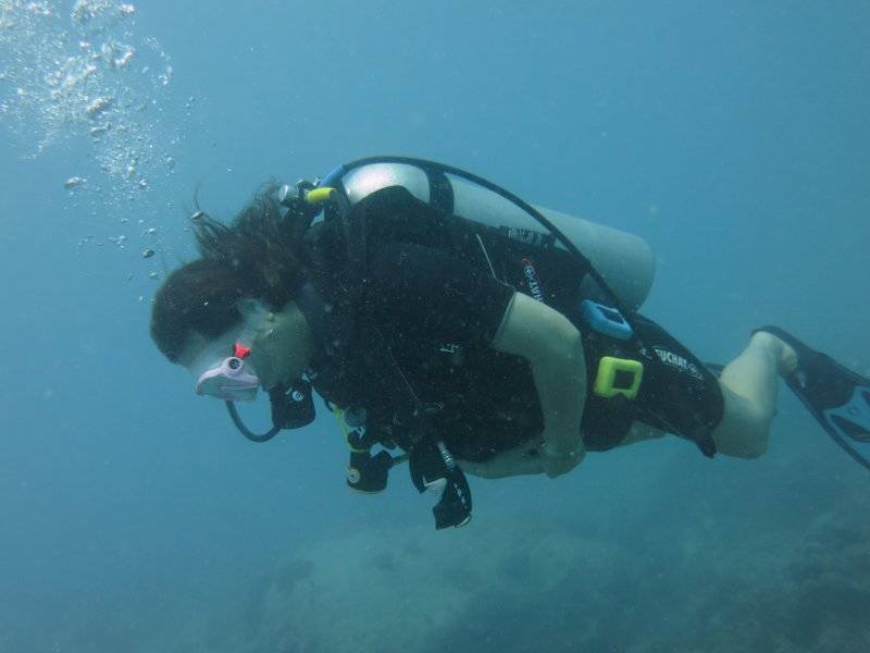 seychelles-mahe-blue-sea-divers-decouverte-31  (©  Seychelles Booking)