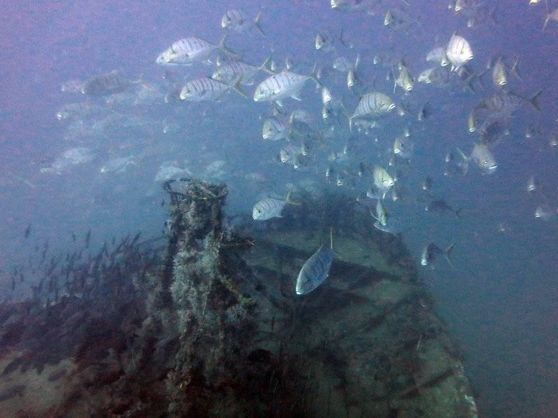 seychelles-mahe-blue-sea-divers-decouverte-35  (© Blue Sea Divers / Blue Sea Divers - cours FFESSM - CEDIP - 4 jours (niveau 1))