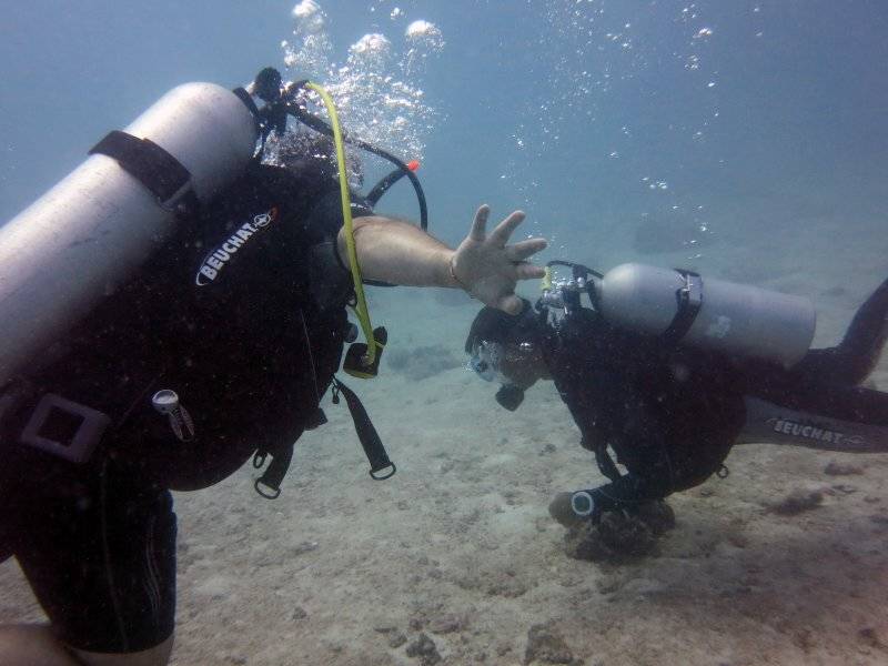 seychelles-mahe-blue-sea-divers-decouverte-5  (©  Seychelles Booking)