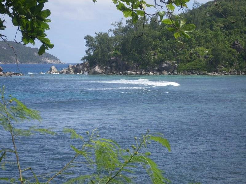 seychelles-mahe-parc-marin-2  (©  Seychelles Booking)