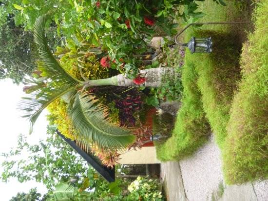 seychelles-mahe-villakordia-garden3-villa  (© Villa Kordia / Villa Kordia )