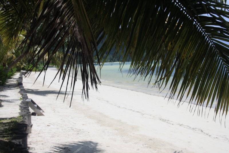 seychelles-praslin-indian-ocean-lodge-plage  (©  Seychelles Booking)