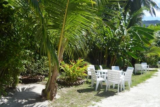 seychelles-villa-veuve-garden-1  (©  Seychelles Booking)
